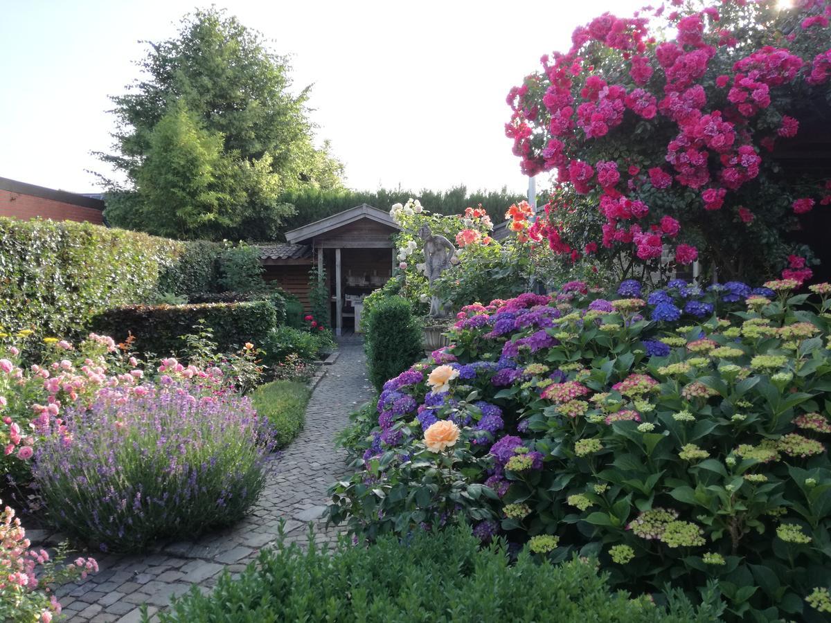 La Rose Bed & Breakfast NeerNeerpelt Exterior photo
